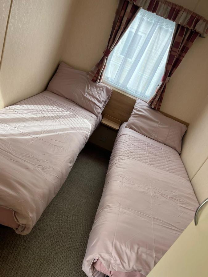 Campsite Golden Palm Pg163 *